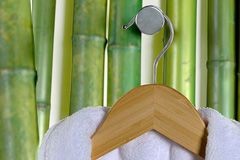 Bamboo Hangers